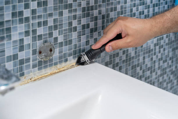 Best Residential Mold Remediation in Magee, MS